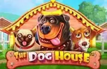 The Dog House